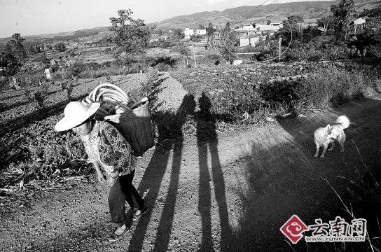 小冲村路口已被警方封锁，圈中就是案发现场