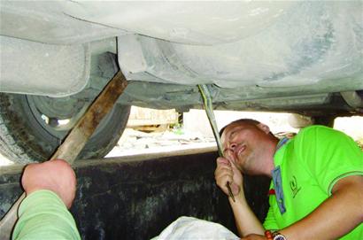 2米锦蛇缠住出租车底取暖 青岛捕蛇能手抓蛇尾拽出 2米锦蛇缠住出租车底取暖 青岛捕蛇能手抓蛇尾拽出