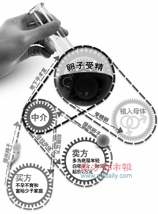 深圳地下人卵交易链起底 黑中介每笔得益十几万 深圳地下人卵交易链起底 黑中介每笔得益十几万