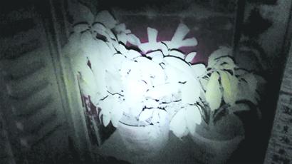 青岛工地水漫天下起水泥雨 行人变兵马俑车变雕塑