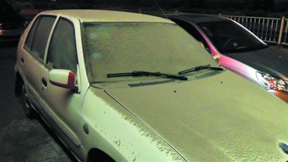 青岛工地水漫天下起水泥雨 行人变兵马俑车变雕塑