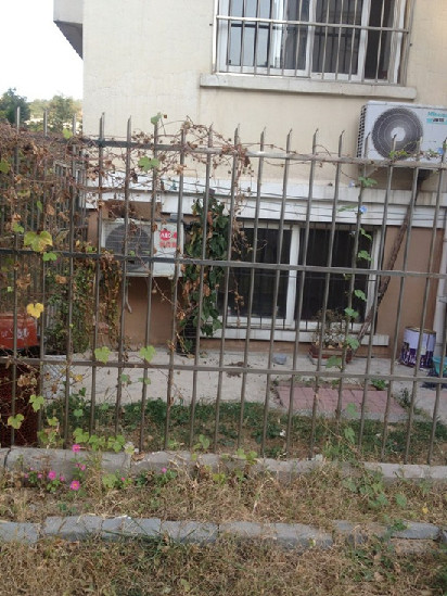 青岛恒苑小区被曝脏乱差 无人管理物业形同虚设