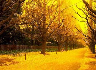 降温天气如何养生防病