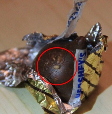青岛市民婚礼用好时巧克力现活蛆 全国均吃出