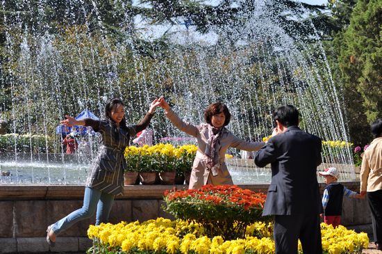 青岛中山公园30万盆菊花争奇斗艳