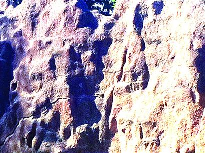 青岛狮虎山33年来首次大修 4只虎搬进新行宫