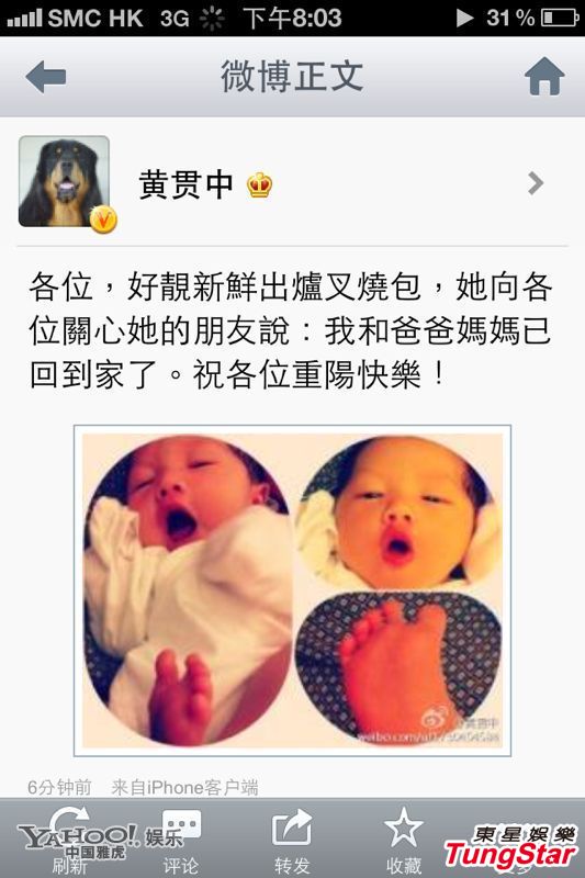 朱茵产女 震撼成长史大揭秘