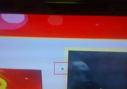 夏普电视显示屏飞进小虫 售后收费清理遭投诉