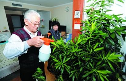 养老院养老受追捧