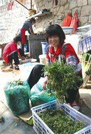 小村经营农家宴渐成品牌 每户年赚二三十万 小村经营农家宴渐成品牌 每户年赚二三十万