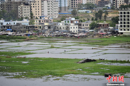 台风山神过境三亚大风暴雨 市民街上下网捕鱼