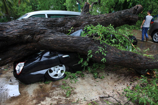 台风山神过境三亚大风暴雨 市民街上下网捕鱼