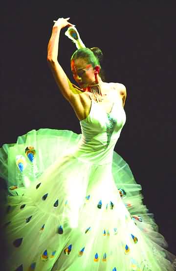 逆天生长的孔雀仙子杨丽萍 岁月太不公平了