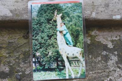 龙龙站在翠屏公园长颈鹿上的照片。图由受访者提供 龙龙站在翠屏公园长颈鹿上的照片。图由受访者提供