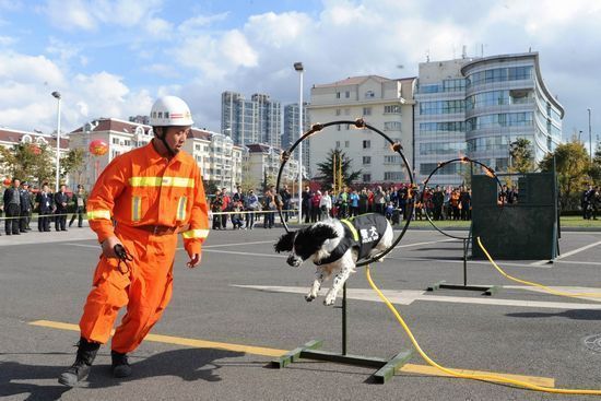 青岛消防演习惊险似好莱坞大片 机器人切钢筋如草芥