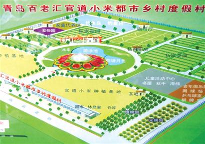 红土地黄小米“滋润”300户村民