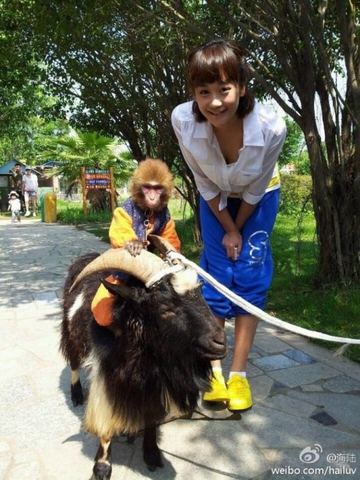 2012年当红明星微博卖萌囧照