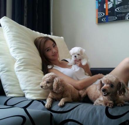 2012年当红明星微博卖萌囧照