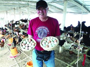 脑黄金鸡蛋4元1个直接生吃 五彩蛋最贵6元1个