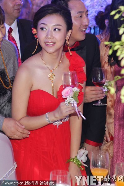 大牌明星佳婿惊人背景大PK