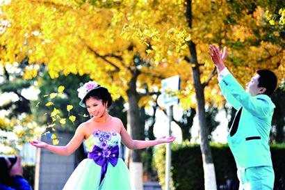 秋醉青岛片片秋叶红犹如画中行 11月均可赏秋