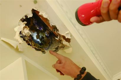 半夜下“臭雨”客厅变粪池 半夜下“臭雨”客厅变粪池