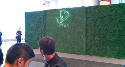 郭晶晶霍启刚婚礼现场直播