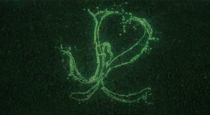 郭晶晶霍启刚婚礼现场直播