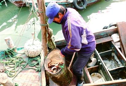 灵山岛渔民改行钓鳗鱼月入两万 一天能挣三千