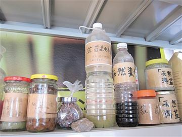 青岛80后情侣裸婚辞职进山隐居 生吃菜自建屋