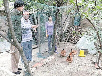 青岛80后情侣裸婚辞职进山隐居 生吃菜自建屋