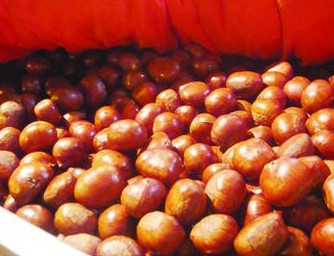 6个栗子相当于一碗米饭 1天吃2斤或致胃出血