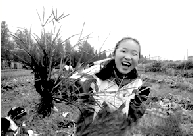 花10万元租4亩地