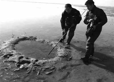 绝美东方白鹳惨死变盘中餐 职业杀手一路投毒 绝美东方白鹳惨死变盘中餐 职业杀手一路投毒