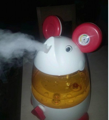 加湿器变药罐加醋加板蓝根 不杀菌反致支气管炎