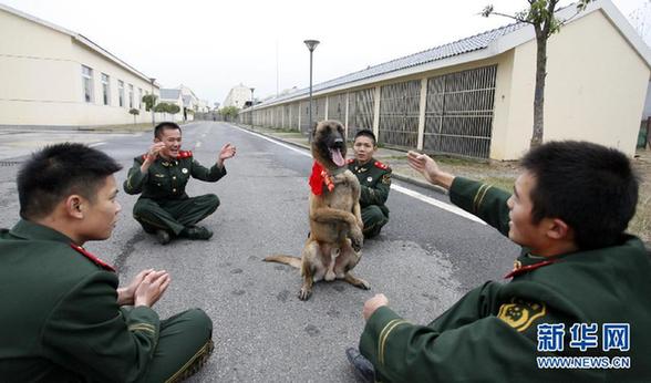 #（社会）（3）“无言战友”别军营