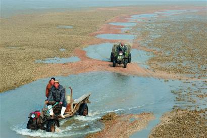 青岛世外桃源:日钓鲜鲈鱼 夜饮观沧海