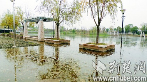 图为：公园里的人行道被淹没 