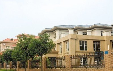 深圳20亿村官事件举报人被捕 警方越权遭质疑