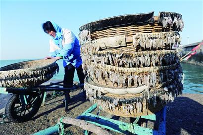 青岛昔日小渔村变度假胜地