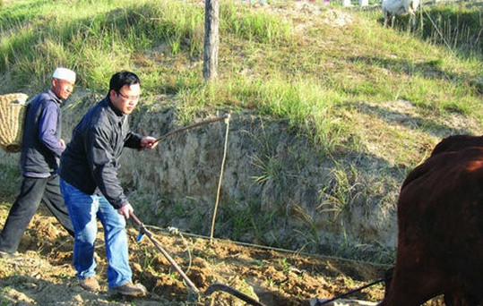 官员丑陋行径：贪污淫乱讲排场