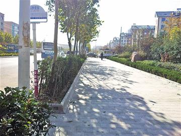 劲松三路打造最好人行道 劲松三路打造最好人行道