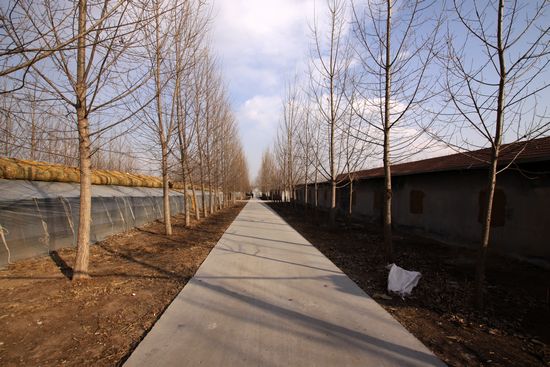 解密里岔黑猪生意经:不想赚钱钱会源源而来