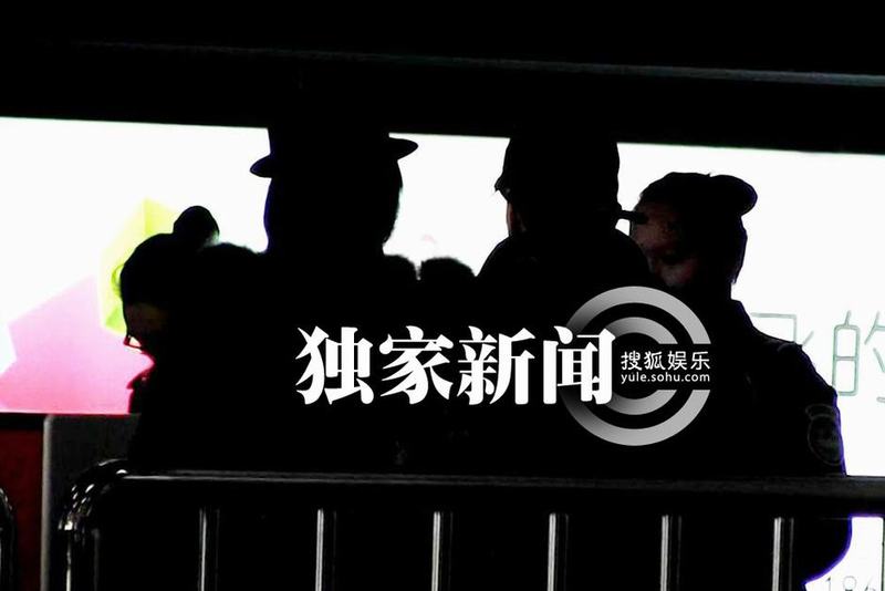 刘嘉玲穿貂皮贵妇装离京