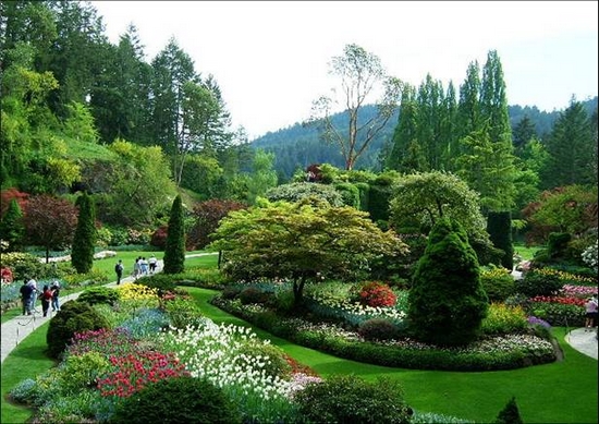 世园会建世外茶园 世园会建世外茶园