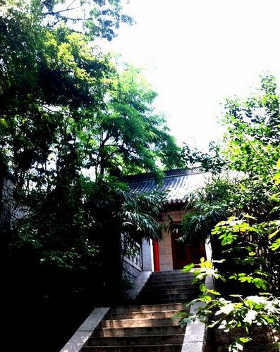 不出青岛也看冰雪 细数冬游崂山极品线路