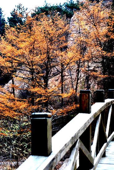 不出青岛也看冰雪 细数冬游崂山极品线路 不出青岛也看冰雪 细数冬游崂山极品线路