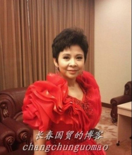 董文华神秘老公揭秘