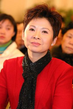 董文华神秘老公揭秘