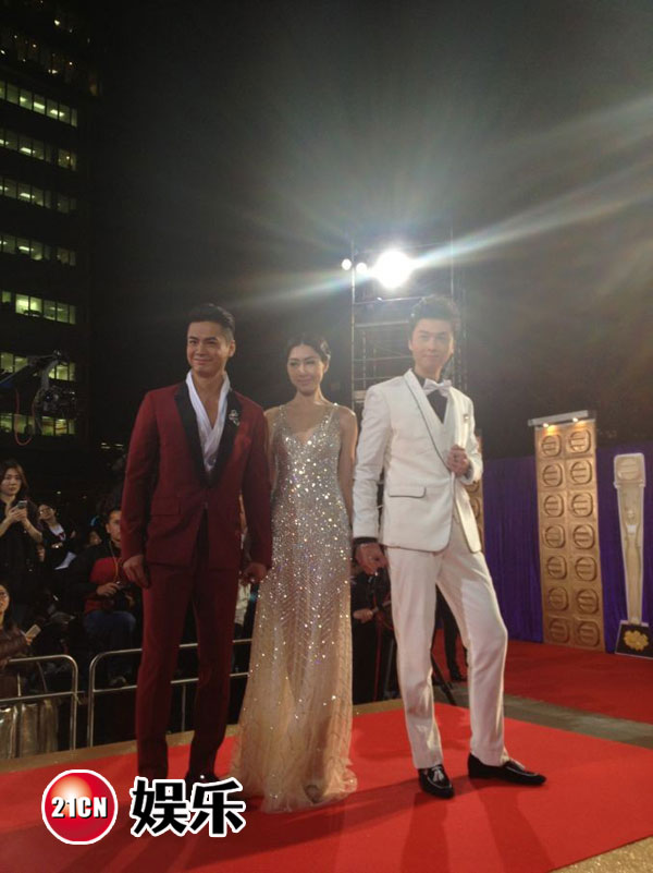 第45届TVB台庆红毯群星璀璨